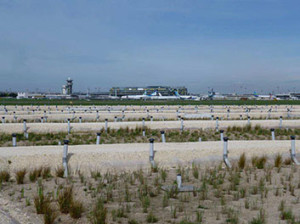 Paris-Orly inaugure son marais filtrant (Revue Entre Voisins)