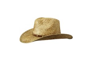 chapeau-maplewood-raffia-stetson